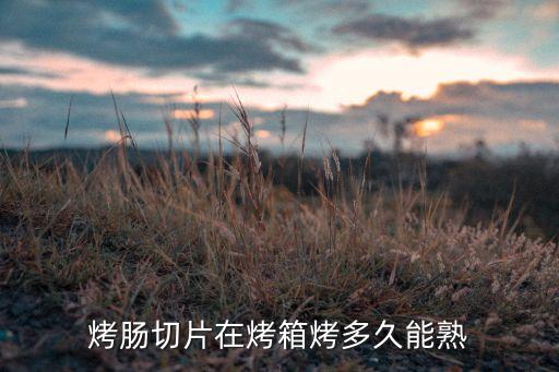 金針菇烤腸烤多久能熟啊，烤腸平底鍋多長時間熟